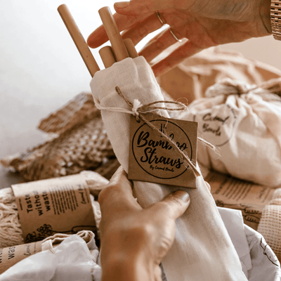 Bamboo Straws: Set of 4