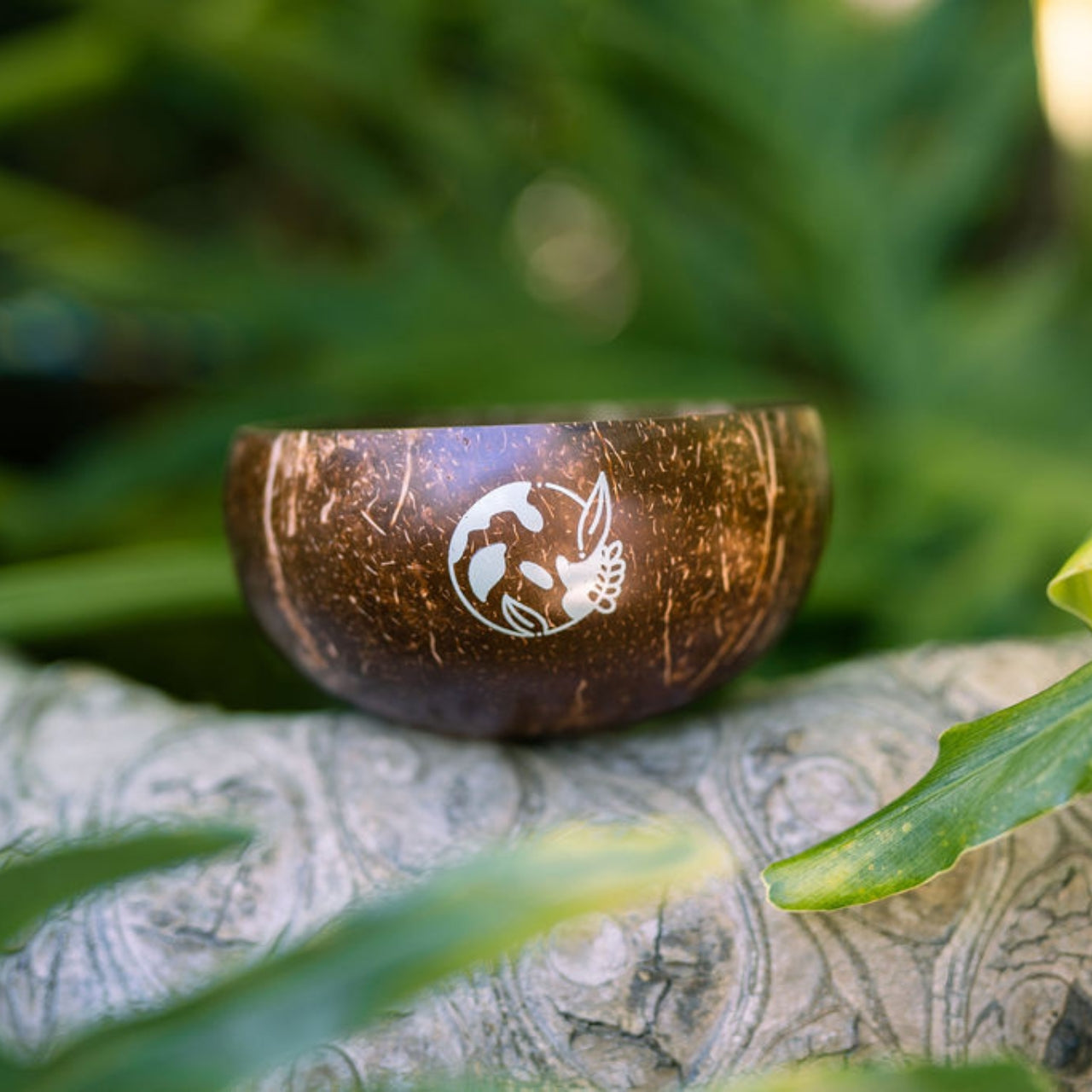 Eat More Plants Coconut Bowls