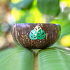 Nature Coconut Bowl