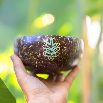 Nature Coconut Bowls