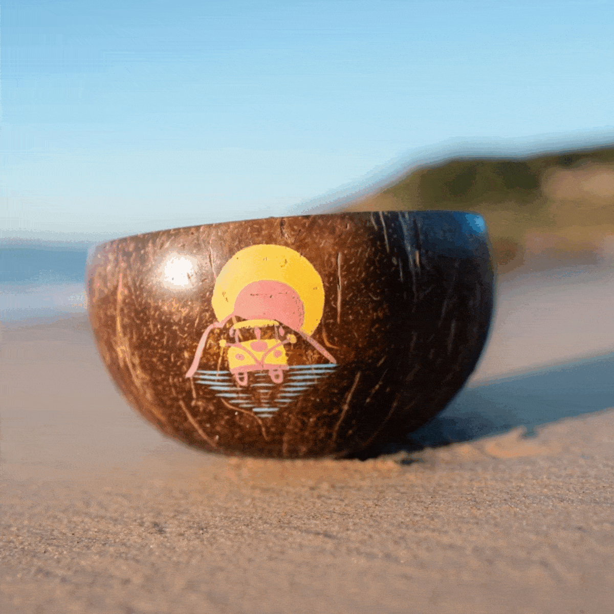 Van Life Coconut Bowl