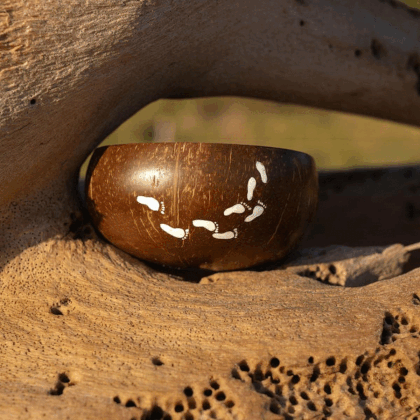 Wanderlust Coconut Bowls